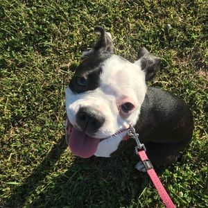 Meet your Posher, Amy